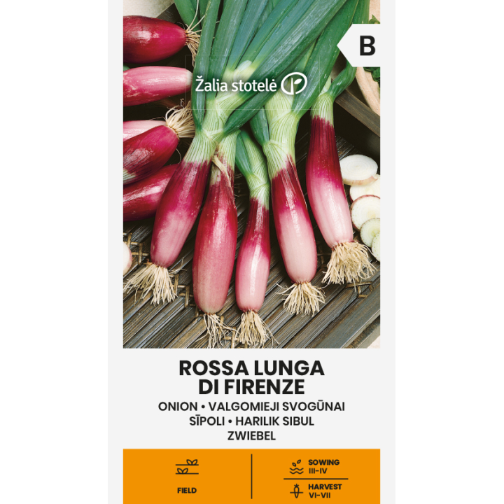 Oignon rouge long de Florence - Graines