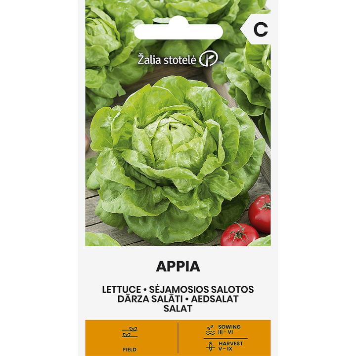 Laitue Appia - Graines