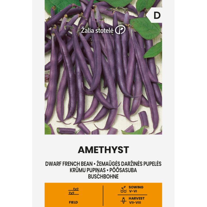Alubia enana Amethyst - Semillas