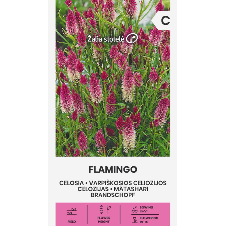 Celosía Flamingo - sobre de semillas