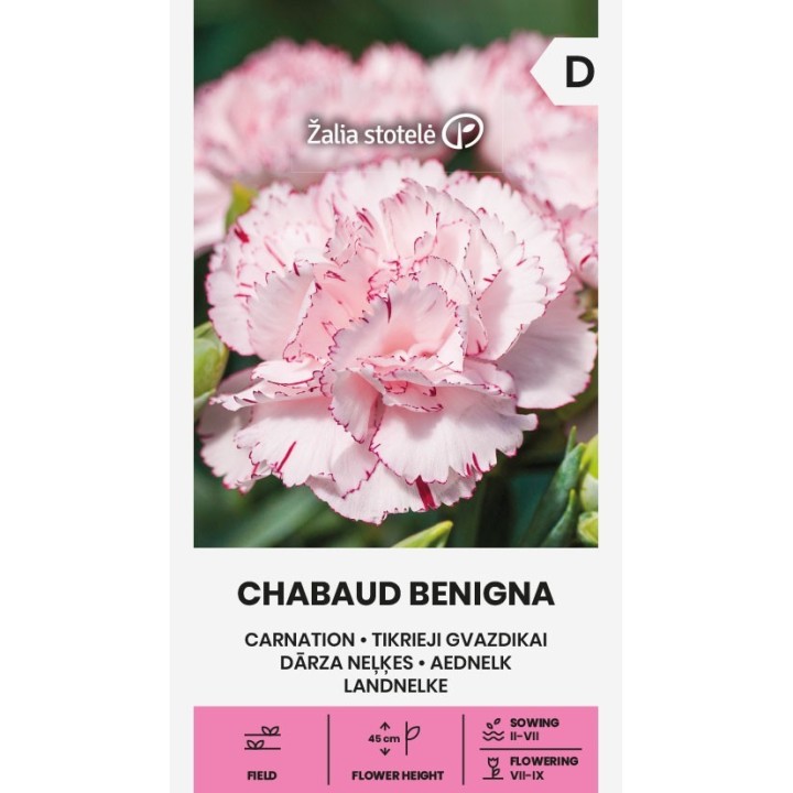 Clavel Chabaud Benigna - Semillas