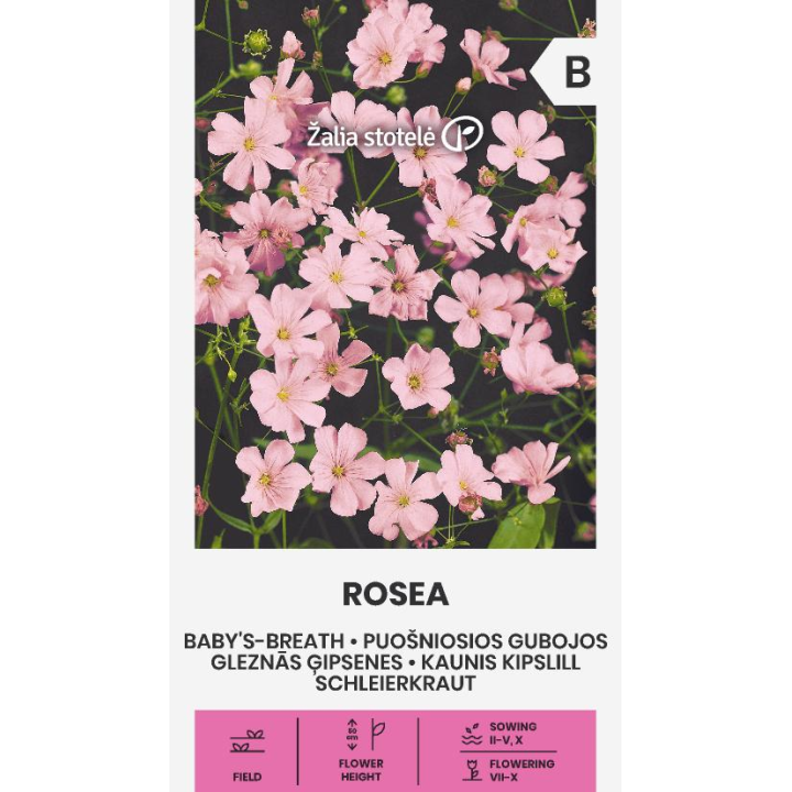 Paniculata rosa - Semillas