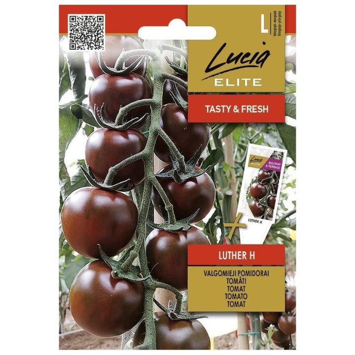 Tomate Luther H - Graines