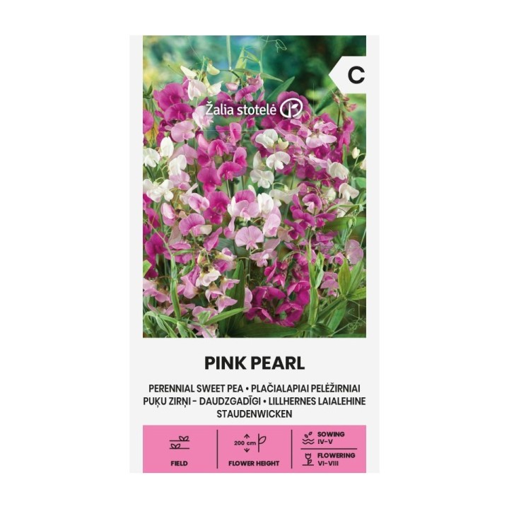 Pois de senteur vivace Pink Pearl - Graines