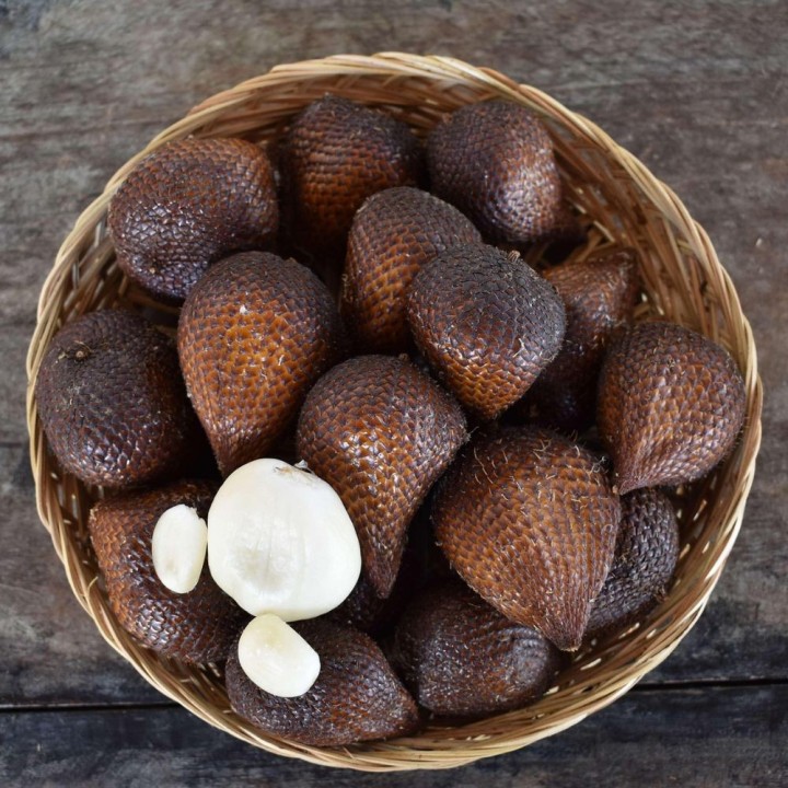 Salak - Graines