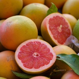 Pomelo - Semillas