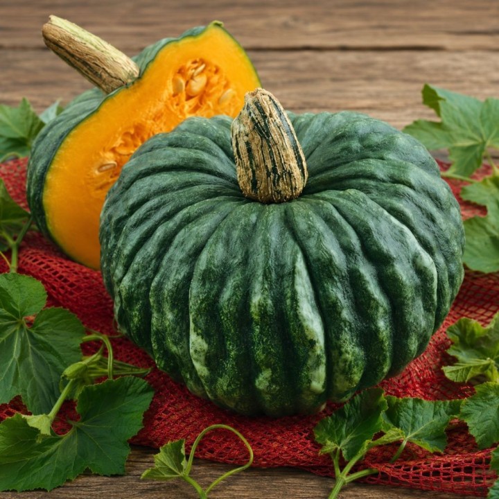 Courge Marina di Chioggia - Graines