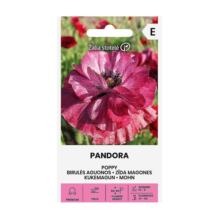 Pavot de Californie Ballerina - Graines