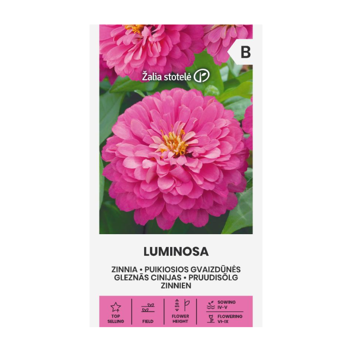 Zinnia, Luminosa - Graines