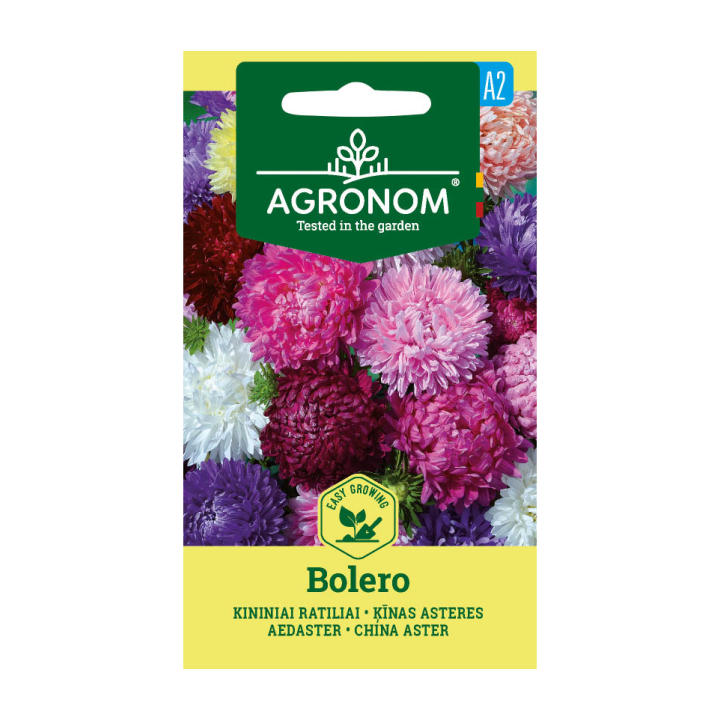 Aster de Chine, Bolero - Graines