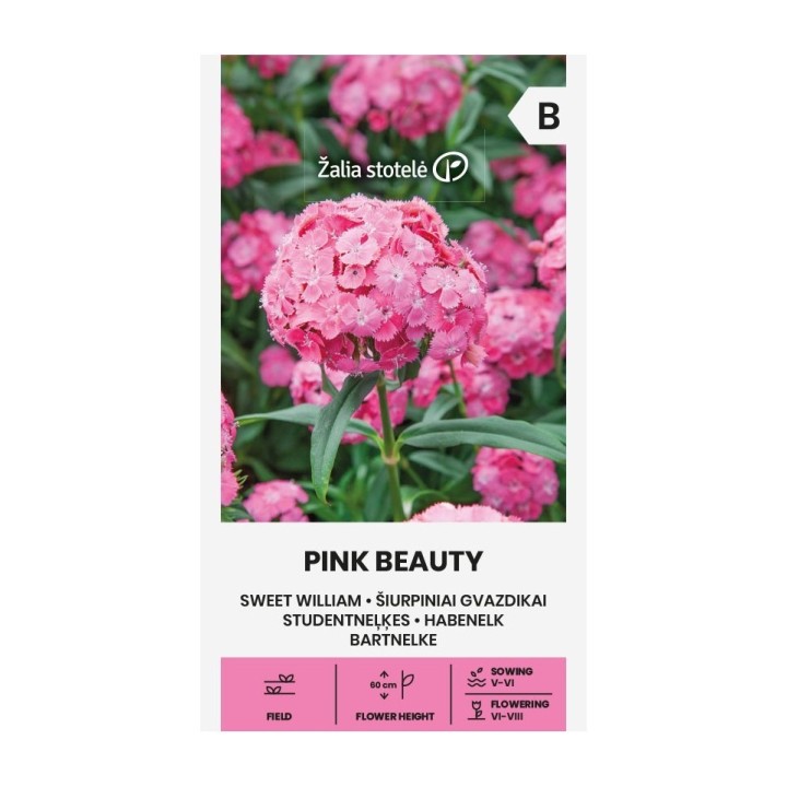 Oeillet de poète, Pink beauty - Graines