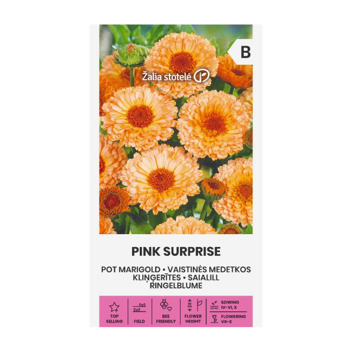 Souci, Pink surprise - Graines
