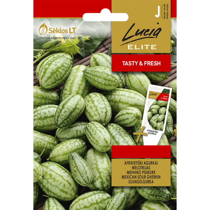 Cucamelon - Graines