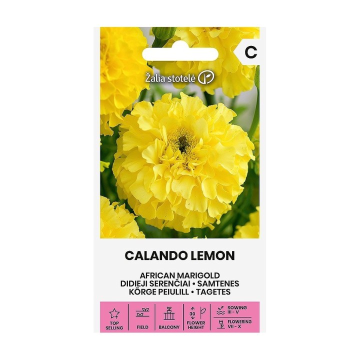 Tagete, Calando lemon - Graines