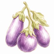 Aubergines