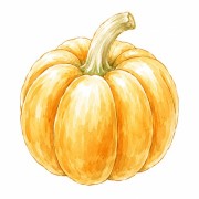 Courges et cucurbitacées