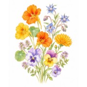 Fleurs comestibles