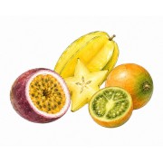 Fruits tropicaux