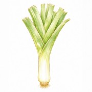 Poireaux