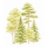 Arbres