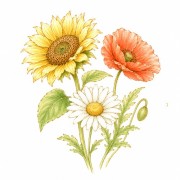 Fleurs