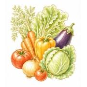 Légumes