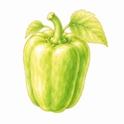 Poivrons et piments