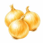 Oignons